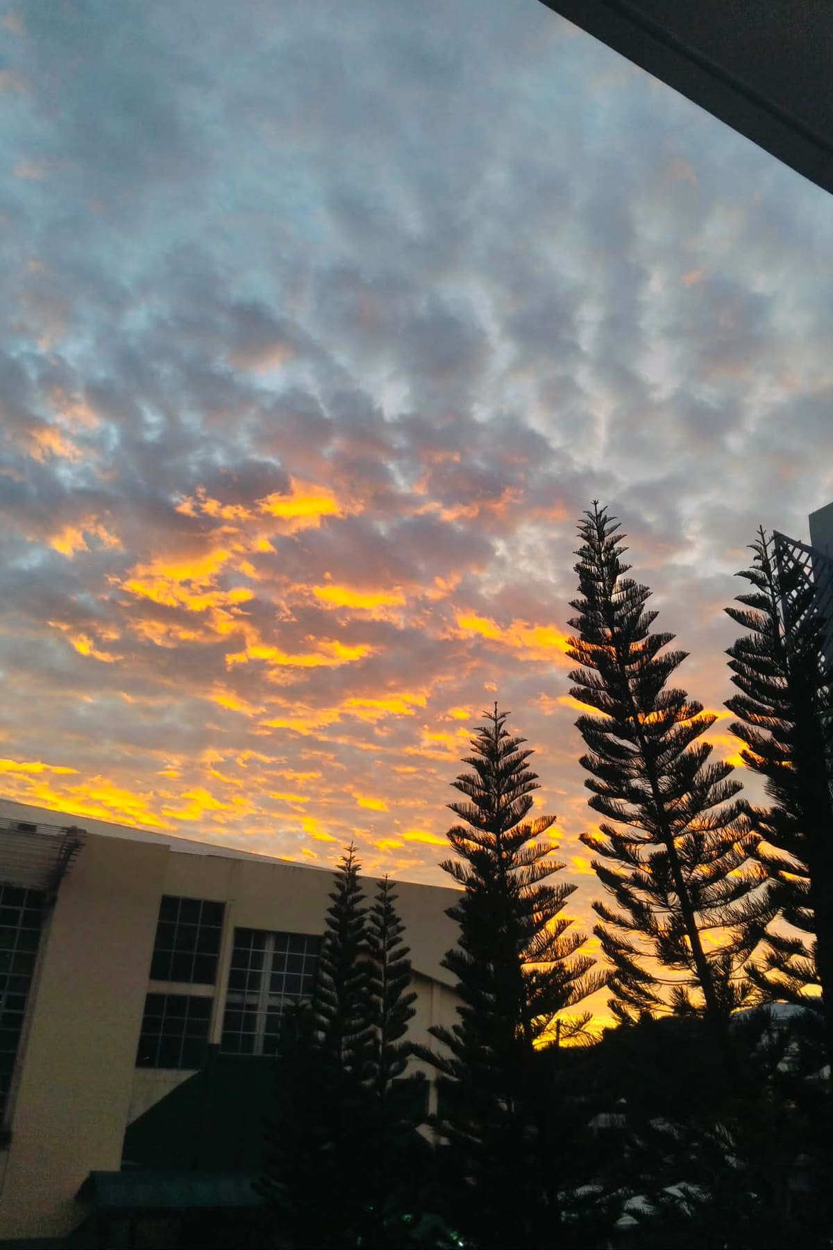 Evening calm