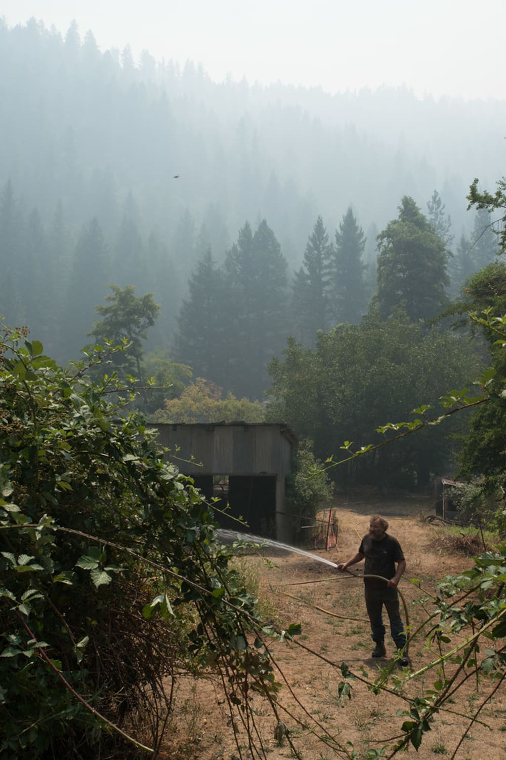 Scenic view