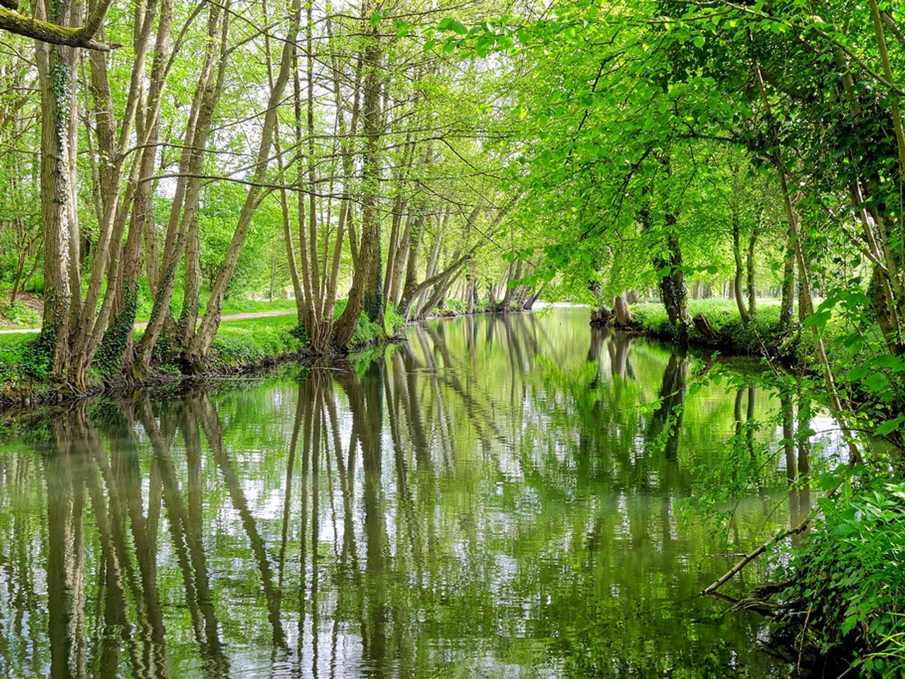 Nature landscape
